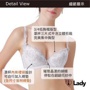 Lady 蝶舞輕揚系列 B-F罩 法式 刺繡 蕾絲 內衣 (蝶羽灰)