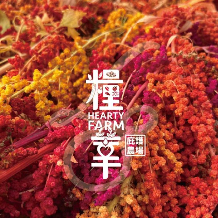 糧莘農場 台灣紅藜