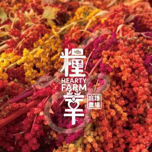 糧莘農場 台灣紅藜