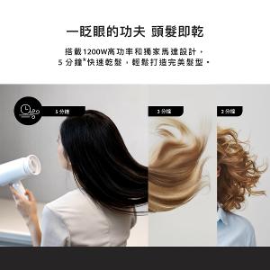 Acerpure BEAUTY 雙效負離子吹風機 HD364-10W