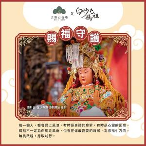 《白沙屯媽祖-天后賜福箱》【雙蔘強身組】｜人蔘滴雞精 2盒 + 海苔豬肉鬆 1罐