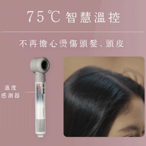 Acerpure BEAUTY AI 負離子造型吹風機 DS744-10W