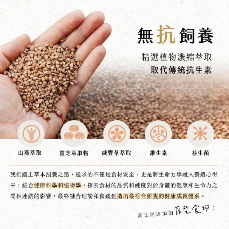 【大野山雞】草間雞 公全雞(帶頭腳) | 隻