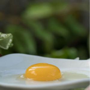 【大野山雞】放牧雞蛋-宅配箱購 -M/L尺寸 /冷藏含運 (無法與冷凍/常溫商品合併寄出)