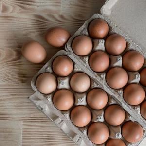 【大野山雞】放牧雞蛋-宅配箱購 -M/L尺寸 /冷藏含運 (無法與冷凍/常溫商品合併寄出)