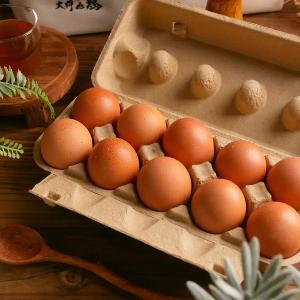 【大野山雞】放牧雞蛋-宅配箱購 -M/L尺寸 /冷藏含運 (無法與冷凍/常溫商品合併寄出)