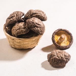 滋立精品南北貨|嚴選上等台灣埔里香菇禮盒 150g