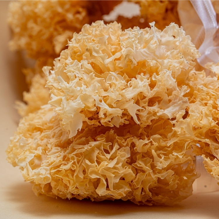 滋立嚴選南北貨|滋立頂級白木耳 170g