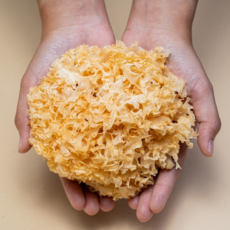 滋立嚴選南北貨|滋立頂級白木耳 170g