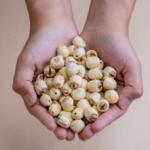 滋立嚴選南北貨|原味建蓮子 250g