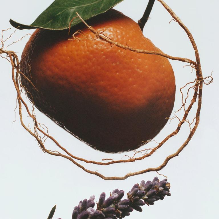 Jo Malone London 154香水 100ML