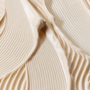 SISLEY 抗皺活膚御緻駐顏霜