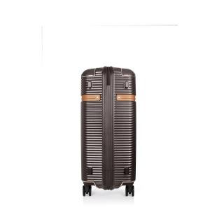 Samsonite Black Label SBL RICHMOND II四輪行李箱(棕)