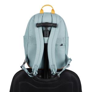 Pacsafe Go 隨行防盜後背包 15L-杉綠色
