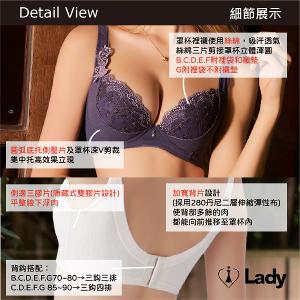 Lady 豔陽花語系列 B-G罩 機能 調整型 內衣 (優雅膚)