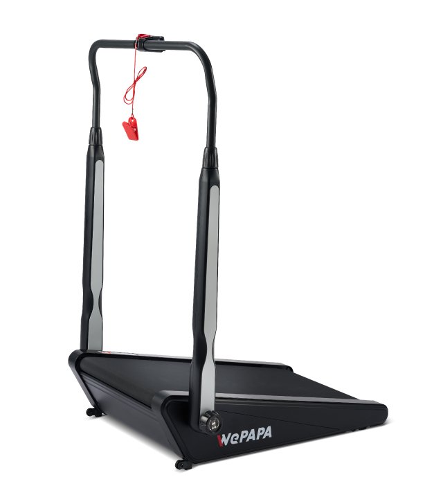 輝葉  HY-20613  WePAPA登山健走機 預購12/8到貨依序出貨