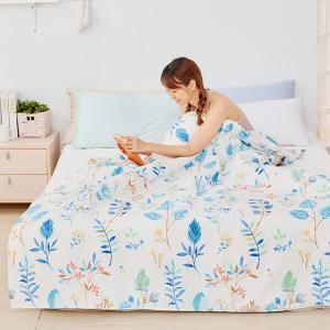 【DUYAN 竹漾】 舒柔棉 涼被/ 藍凝冰花