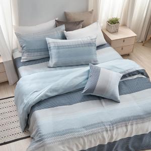 【DUYAN 竹漾】40支100%天絲雙人加大四件式鋪棉兩用被床包組 /帕里斯 台灣製