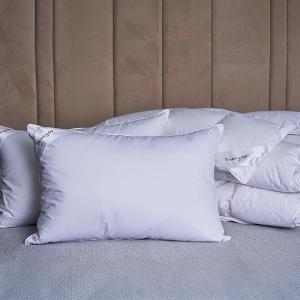 【寬庭】VENEZIA 爵品  |  羽絨枕心 二入組