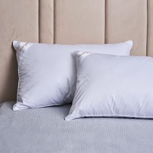 【寬庭】VENEZIA 爵品  |  羽絨枕心 二入組
