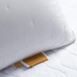 【寬庭】MADAME DUREE 絲朵 | 親膚美容蠶絲複合枕 二入組