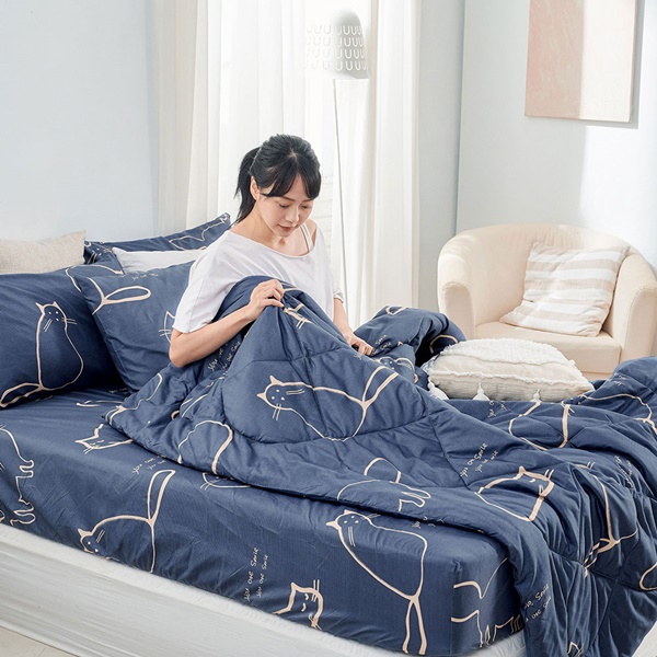 【DUYAN 竹漾】石墨烯抗菌四季被 / 萌喵夢遊 台灣製