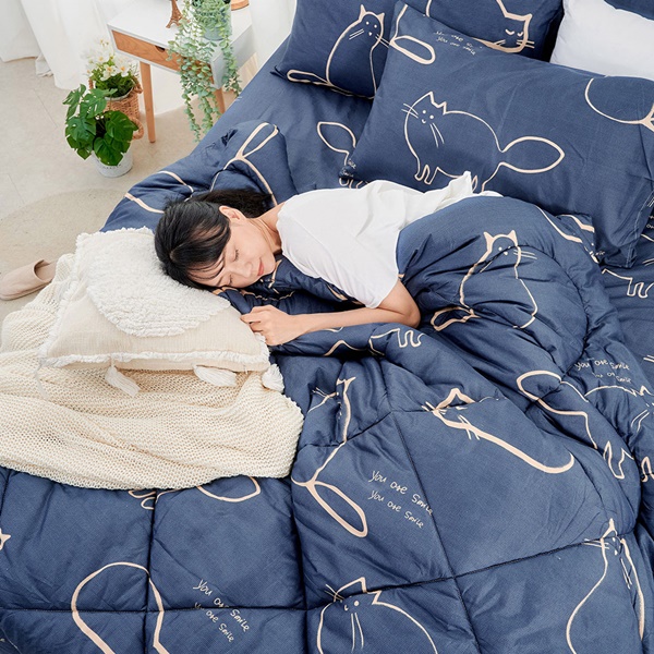 【DUYAN 竹漾】舒柔棉 雙人加大床包羽絲絨被組/ 萌喵夢遊