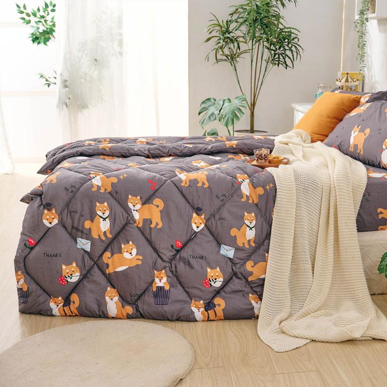 【DUYAN 竹漾】舒柔棉四季被 / 逗逗小柴