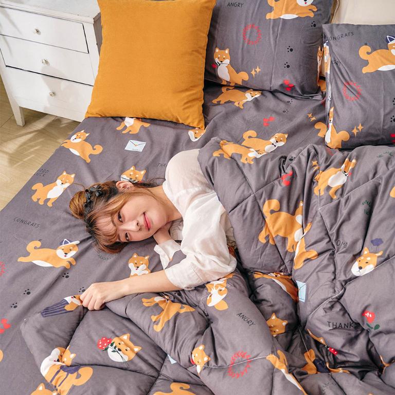 【DUYAN 竹漾】舒柔棉四季被 / 逗逗小柴