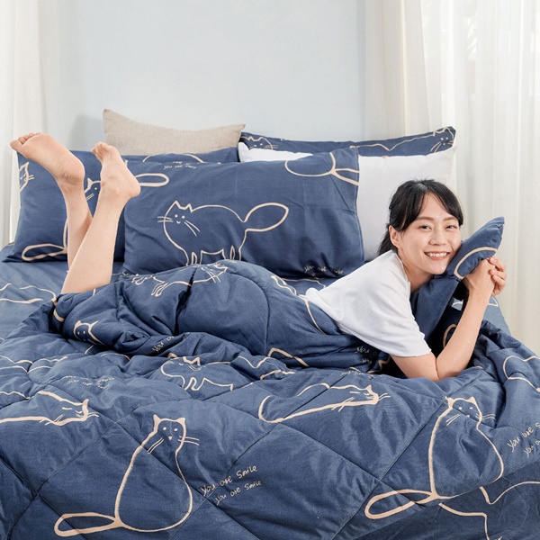 【DUYAN 竹漾】石墨烯抗菌四季被 / 萌喵夢遊 台灣製