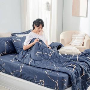 【DUYAN 竹漾】石墨烯抗菌四季被 / 萌喵夢遊 台灣製