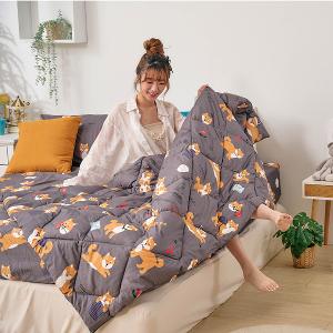 【DUYAN 竹漾】舒柔棉四季被 / 逗逗小柴