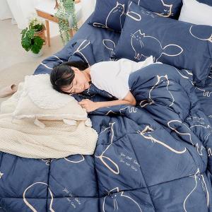 【DUYAN 竹漾】Heat/Fi 可水洗羽絲絨被 / 萌喵夢遊 台灣製
