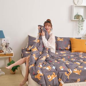 【DUYAN 竹漾】舒柔棉四季被 / 逗逗小柴