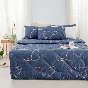 【DUYAN 竹漾】石墨烯抗菌四季被 / 萌喵夢遊 台灣製