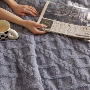 【DUYAN 竹漾】韓系麻花牛奶絨 雙層加厚被毯 / 霧灰藍