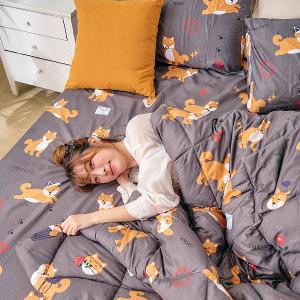 【DUYAN 竹漾】舒柔棉四季被 / 逗逗小柴