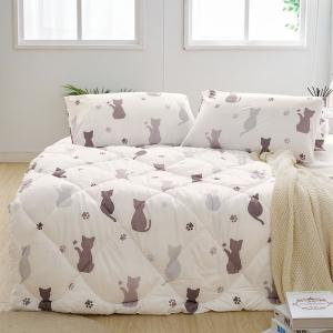 【DUYAN 竹漾】舒柔棉四季被 / 喵語呢喃