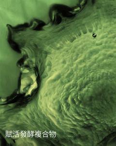 LA MER海洋拉娜 超能修護精華露