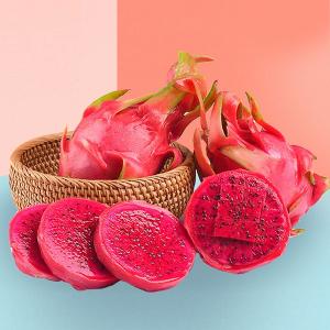 台南楠西-滿滿蔬果合作社-紅心火龍果-6入