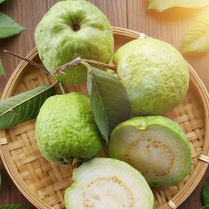 台南楠西-滿滿蔬果合作社-尊享帝王芭樂-8入