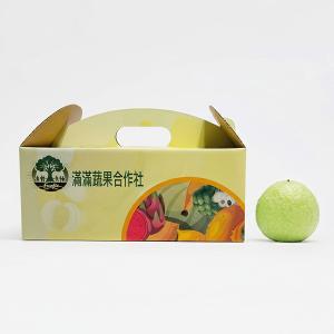 台南楠西-滿滿蔬果合作社-尊享帝王芭樂-6入