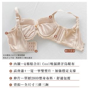 【思薇爾】柔塑曲線系列B-D罩調整型蕾絲集中包覆塑身女內衣(恬靜膚)