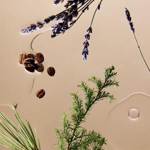 SAWAA 靜海｜賦活胜肽洗髮露500ML