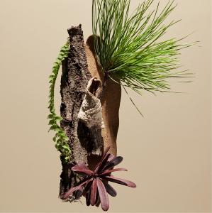 SAWAA 寧海|煥膚平衡身體乳500ML