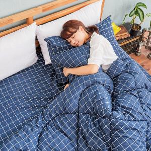 【DUYAN 竹漾】Heat/Fi 可水洗羽絲絨被 / 格陵藍 台灣製