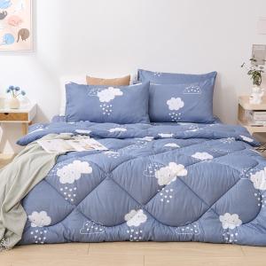 【DUYAN 竹漾】Heat/Fi 可水洗羽絲絨被 / 雲朵童話 台灣製