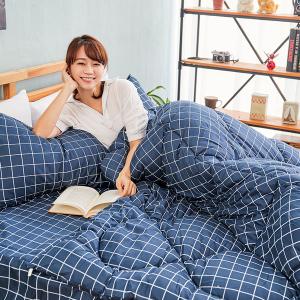 【DUYAN 竹漾】Heat/Fi 可水洗羽絲絨被 / 格陵藍 台灣製