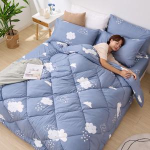 【DUYAN 竹漾】舒柔棉 雙人加大床包羽絲絨被組 / 雲朵童話 台灣製