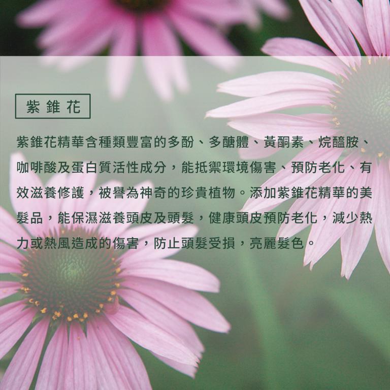 自然微風 紫錐花非常修護髮膜180g